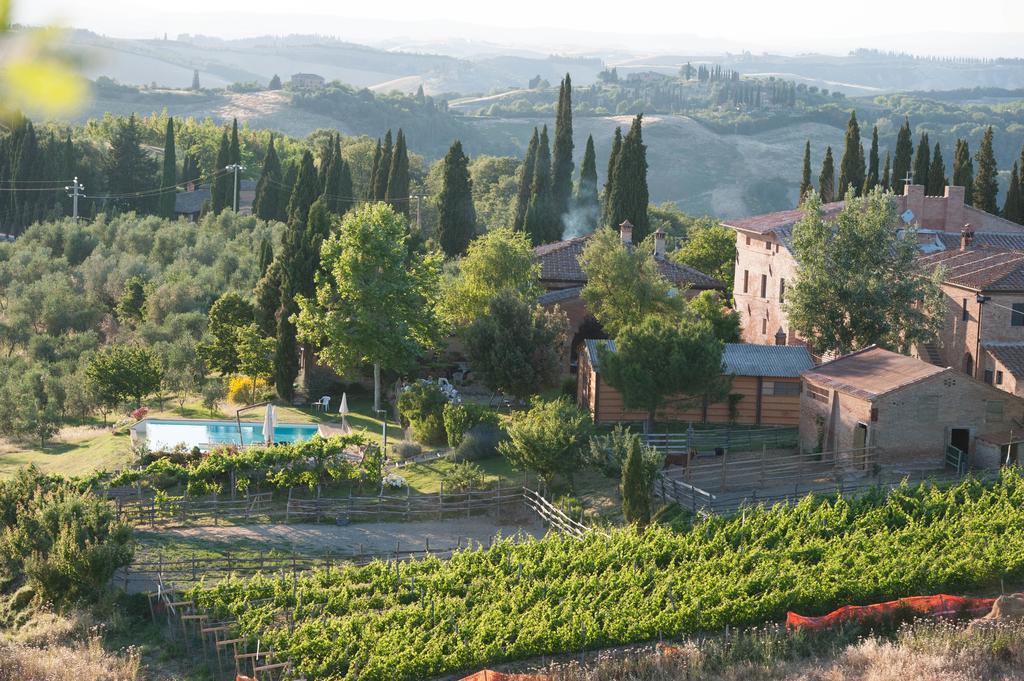 Fattoria Armena Buonconvento Exterior photo